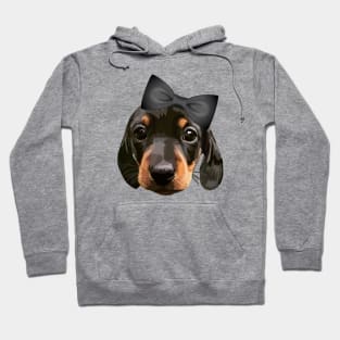 Dachshund Hoodie